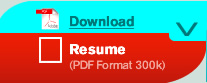 Download Resumé