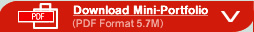 Download Mini-Portfolio
