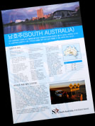 Korean Brochure