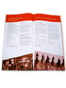 Partnership Opportunities Brochure
